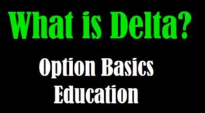 what-is-delta-option-basics-education