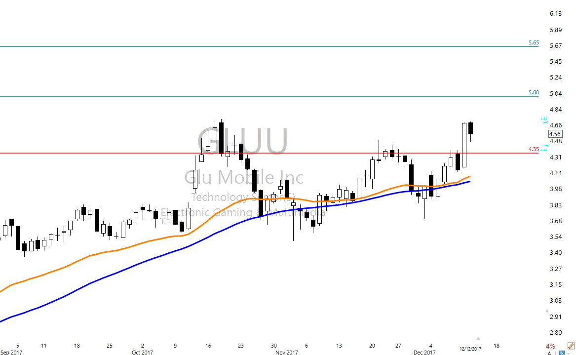 Gluu stock options