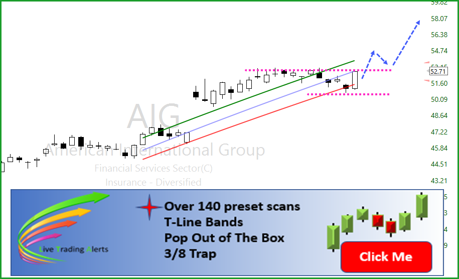 Aig Organizational Chart