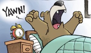 Bears Woke