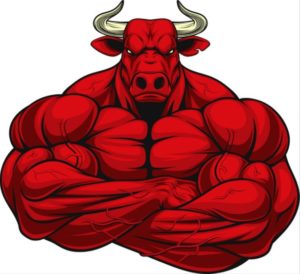 Bulls Held Strong